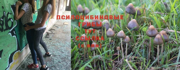 прущая мука Приозерск