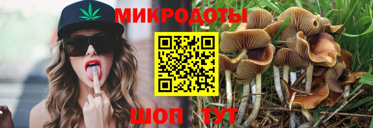 сколько стоит  Галлюциногенные грибы Cubensis  Вход с VPN  Скопин 