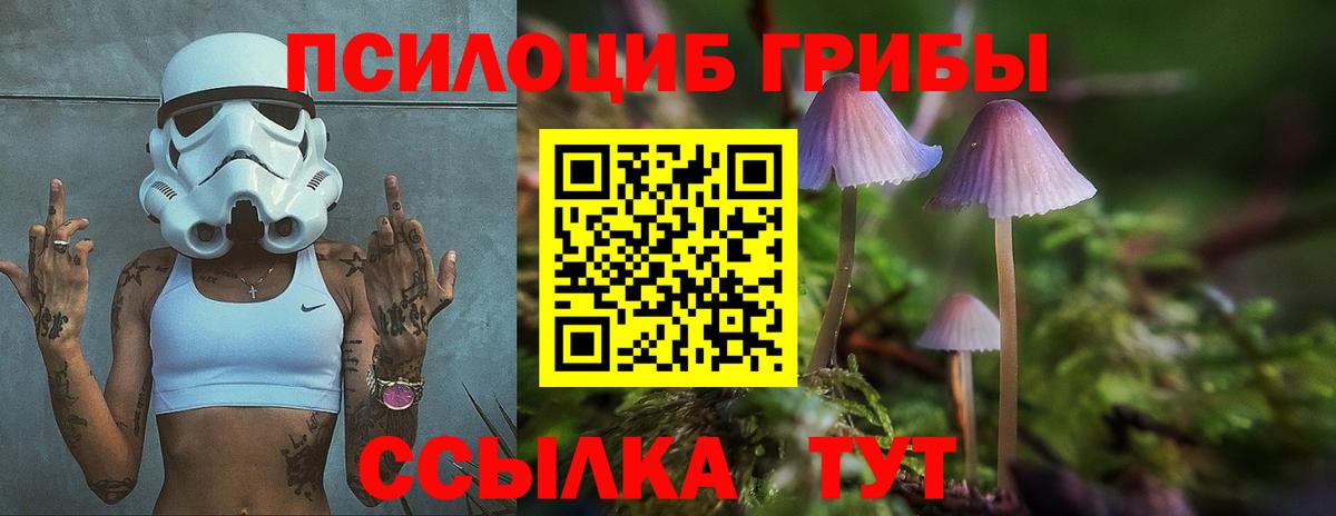 Псилоцибиновые грибы мицелий Скопин